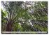Costa Rica - Lebensfreude pur... - Bild 9