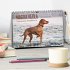 Magyar Vizsla - Ungarischer Vorstehhund... - Bild 2