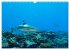 Mikronesien: Yap und Palau... - Bild 7