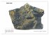 Fossilien - Ammoniten, Trilobiten,... - Bild 14