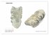 Fossilien - Ammoniten, Trilobiten,... - Bild 8