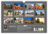 Fotogalerie Fotogalerie