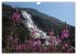 Norwegen 2026 - Im Land der Fjorde,... - Bild 10