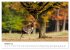 Unsere heimische Tierwelt (Wandkalender... - Bild 3