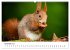 Unsere heimische Tierwelt (Wandkalender... - Bild 4
