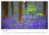 Fotogalerie Fotogalerie
