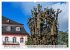 Mainz - Lebensfreude in RheinKultur... - Bild 7