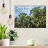 Costa Rica - Lebensfreude pur... - Bild 2