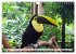 Costa Rica - Lebensfreude pur... - Bild 3