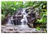 Costa Rica - Lebensfreude pur... - Bild 10
