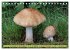 Pilze finden - das ganze Jahr!... - Bild 12