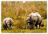 Wilde Tiere Indiens (Wandkalender 2026... - Bild 13