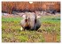 Wilde Tiere Indiens (Wandkalender 2026... - Bild 8