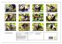 Fotogalerie Fotogalerie