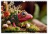 Toadtopia. Fantastische Krötenwelten... - Bild 13
