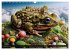 Toadtopia. Fantastische Krötenwelten... - Bild 4