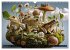 Toadtopia. Fantastische Krötenwelten... - Bild 5