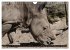 Afrika - Welt der Tiere (Wandkalender... - Bild 15