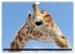 Afrika - Welt der Tiere (Wandkalender... - Bild 5