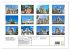 Fotogalerie Fotogalerie