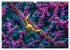 Wunderwelt Unterwasser (Wandkalender... - Bild 14