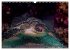 Wunderwelt Unterwasser (Wandkalender... - Bild 4