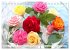 So viele schöne Rosen (Tischkalender... - Bild 12