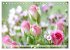 So viele schöne Rosen (Tischkalender... - Bild 4