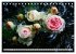 So viele schöne Rosen (Tischkalender... - Bild 8