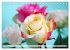 So viele schöne Rosen (Tischkalender... - Bild 9