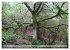 Gogledd Cymru - Nord-Wales... - Bild 3