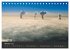 Pilot's-eye view - Die Welt von oben... - Bild 3