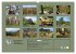 Der Hainich in Thüringen -... - Bild 6
