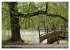 Der Hainich in Thüringen -... - Bild 9