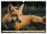 Fuchs - schlauer Räuber (Wandkalender... - Bild 11