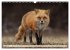 Fuchs - schlauer Räuber (Wandkalender... - Bild 14