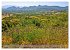 Facettenreiches Sardinien (Wandkalender... - Bild 14