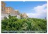 Facettenreiches Sardinien (Wandkalender... - Bild 4