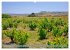 Facettenreiches Sardinien (Wandkalender... - Bild 5