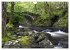 Naturwunder Wales (Wandkalender 2026... - Bild 7