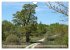 Der Hainich in Thüringen -... - Bild 14