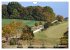 Der Hainich in Thüringen -... - Bild 4