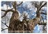 Der Hainich in Thüringen -... - Bild 7