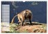 Abenteuer Äthiopien (Wandkalender 2026... - Bild 4