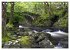 Naturwunder Wales (Tischkalender 2026... - Bild 7