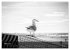 Wangerooge Noir (Wandkalender 2026 DIN... - Bild 9