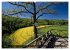 Kulturlandschaft Obere Donau... - Bild 9