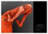 Fotogalerie Fotogalerie