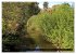 Bad Oldesloe 2026 (hochwertiger Premium... - Bild 13