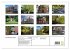 Bad Oldesloe 2026 (hochwertiger Premium... - Bild 5
